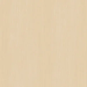 fasv14022zsn99 黎巴嫩淺雪松 300x300.jpg