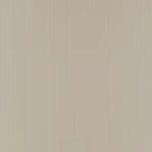 fwke80025zyn24 香檳不鏽鋼刷紋 300x300.png