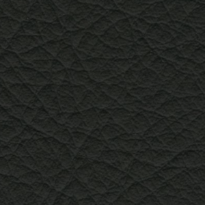 tas 13009ct89