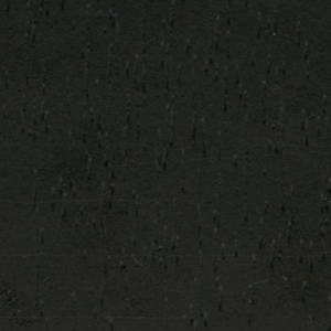 tas 13009ct98