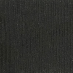 tas 13009ct99